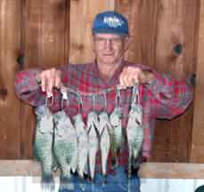 mess of crappie