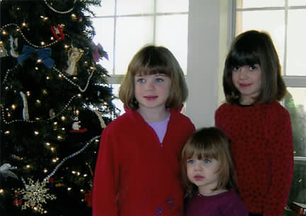 dec2003-4c.jpg (27417 bytes)