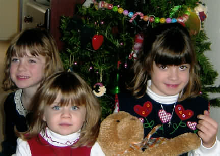 dec2003-6c.jpg (34510 bytes)