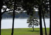 Hackberry Point Lake House