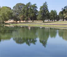 Mill Creek Ranch