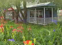 The Cedars