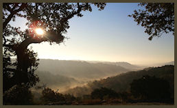 Walnut Canyon Cabins: 2-room