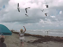 Galveston Beach