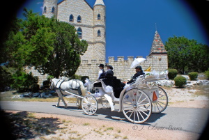 Horse drawn carriage