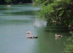 Tubing down the Guadalupe River below Canyon Lake